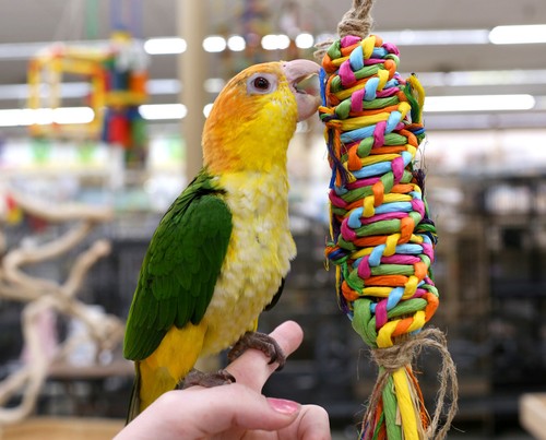 Rainbow weave shreddable - weave,